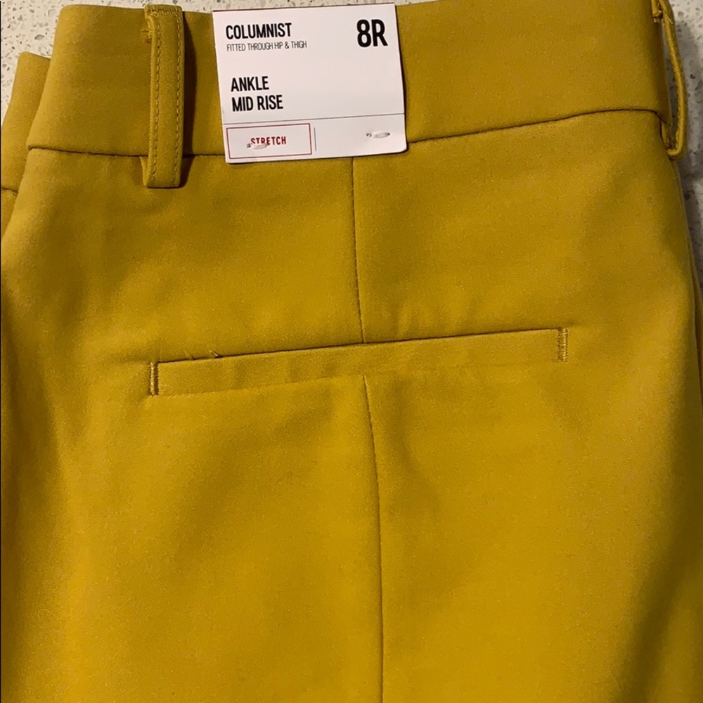 Express Pants